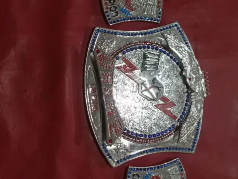 Belt cm pick